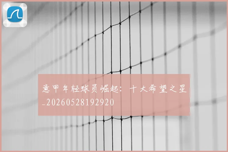 意甲年轻球员崛起：十大希望之星_20260528192920